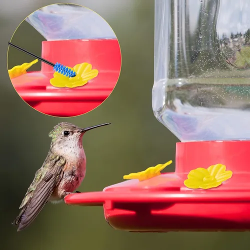 Miniatura 5 de 38 piezas de 3 tamaños de cepillo de limpieza para comederos de colibríes, mini cepillo de tubo de nailon con 16 piezas de repuesto para pájaros