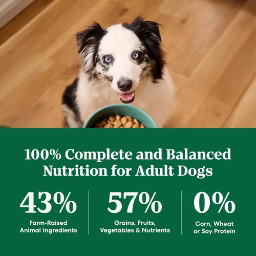 Miniatura 8 de Nutro Natural Choice - Alimento seco para perros, comida para perros adultos, receta de carne seca y arroz integral, 12 libras.