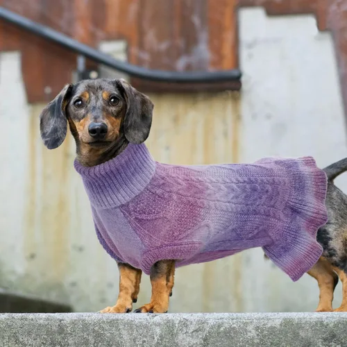 Miniatura 6 de Lelepet Suéter para perro, cuello alto, sudadera de punto trenzado, vestido cálido para perros pequeños, medianos y grandes, suéter de otoño, pug