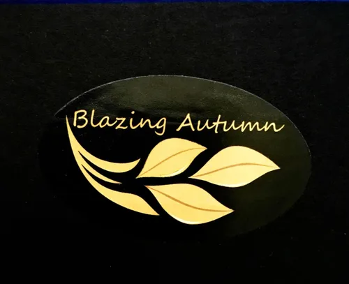 Miniatura 5 de Blazing Autumn Pulseras de plata esterlina 925 joyería de moda para mujer, Plata de ley Plata, Sin gemas.