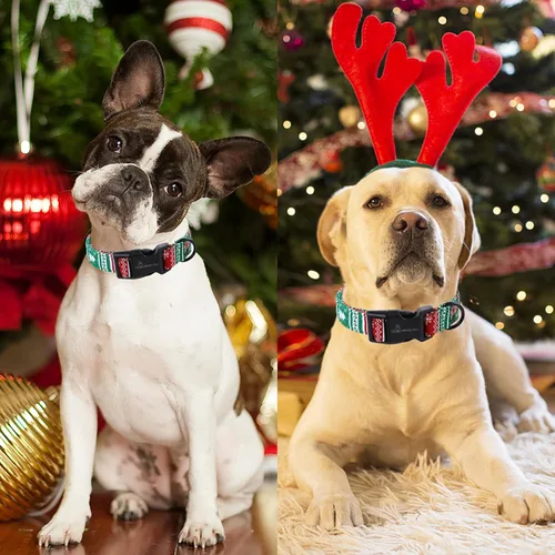 Miniatura 4 de ARING PET Collar de Navidad para perro, lindo collar de copos de nieve populares rojo y verde con hebilla de liberación rápida para cachorros