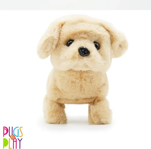 Miniatura 5 de Daron Pugs at Play Goldie Walking Dog (PAP05)