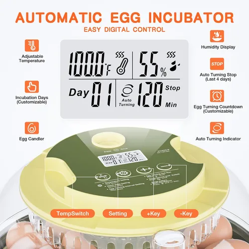 Miniatura 2 de Incubadora de 18 huevos, incubadora para incubar huevos, giro automático de huevos y control de temperatura de humedad, vela de huevos, día