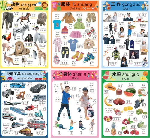 Miniatura 5 de N/A/ Juego de 10 carteles de aprendizaje chino para niños. Inspirado en Montessori. Bilingüe con chino simplificado, inglés y pinyin.
