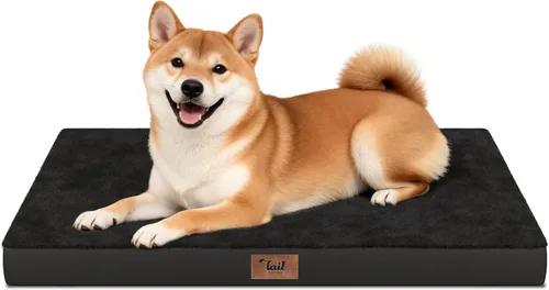 Miniatura 25 de Cama ortopédica de felpa para perros y cachorros medianos, camas impermeables para perros de 30 x 20 pulgadas con funda extraíble lavable, tapete