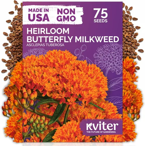 Miniatura 8 de KVITER 150 semillas de gloria de la mañana azul celestial a granel (Ipomoea Tricolor) - Paquetes de semillas de reliquia - Semillas de flores