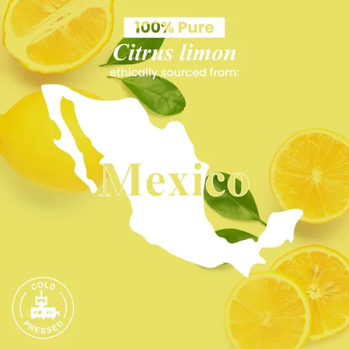 Miniatura 8 de Handcraft Blends Aceite esencial de limón – 1 onza líquida – 100% puro y natural – Aceite esencial de grado premium para difusor y aromaterapia