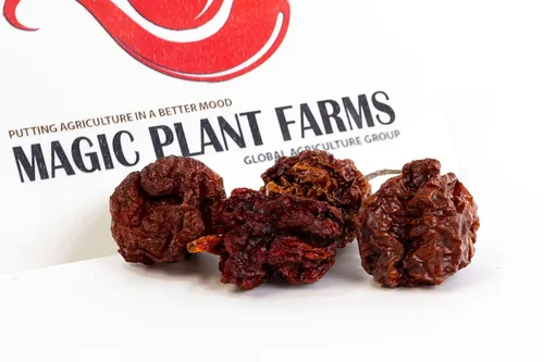 Miniatura 7 de Fiery Farms - Cápsulas enteras de pimienta roja extremadamente picante Carolina Reaper XXX Heat Complex sabor dulce afrutado – Cápsulas de chile