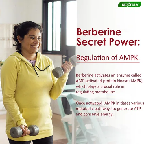 Miniatura 5 de Gomitas de berberina de 1500 mg sin azúcar, suplemento orgánico de berberina con canela de Ceilán, cromo, cúrcuma, cardo mariano para el metabolismo