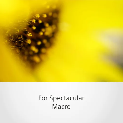 Miniatura 4 de Sony sel50 m28 Fe 50 mm F2.8 Full Frame lente con montura tipo E (Negro)