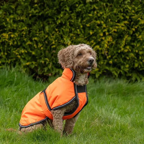 Miniatura 4 de Anorak Weatherbeeta Comfitec reflectante 300D, abrigo para perro Deluxe Lite Orange