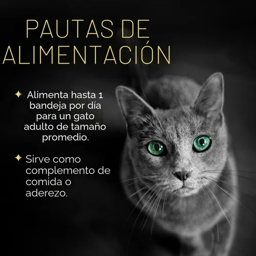 Miniatura 6 de Sheba Selections - Filetes en Caldo para Gatos Adultos, Receta de Pollo y Camarón, 1.3 oz. Tazas, 12
