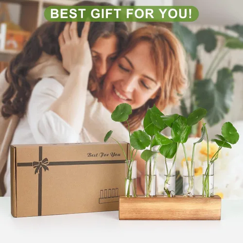 Miniatura 6 de Estaciones de propagación YIBOT, terrario de plantas con soporte de madera, regalos de jardinería de cumpleaños para mujeres, madres amantes