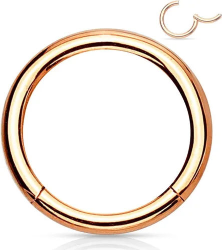 Miniatura 27 de Forbidden Body Jewelry - Piercing para la nariz de acero quirúrgico 316L con bisagra, 14G, 16G, 18G, diámetro de 15/64, 5/16, 25/64, 15/32 pulgadas