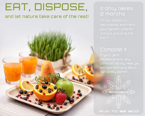 Miniatura 7 de ECODECO Platos de hoja de palmera – 50 piezas cuadrados de 8 pulgadas – Platos desechables como bambú para fiesta con cubiertos