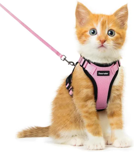 Miniatura 37 de Dooradar Juego de arnés y correa para gato, chaleco ajustable seguro a prueba de escapes, para caminar, chaqueta de malla suave y transpirable