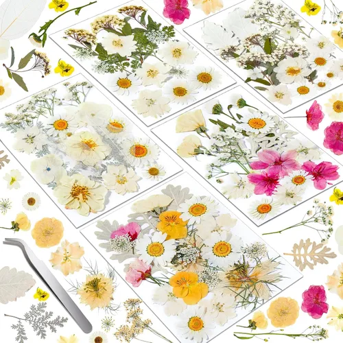 Miniatura 10 de Flores secas prensadas para resina, flores prensadas reales, hojas secas, kit de hierbas naturales a granel para álbumes de recortes, manualidades