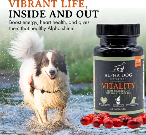 Miniatura 4 de Aceite de krill para perros – Vitality by Alpha Dog Nutrition – Reduce las alergias, picazón y desprendimiento de perros – Promueve la piel