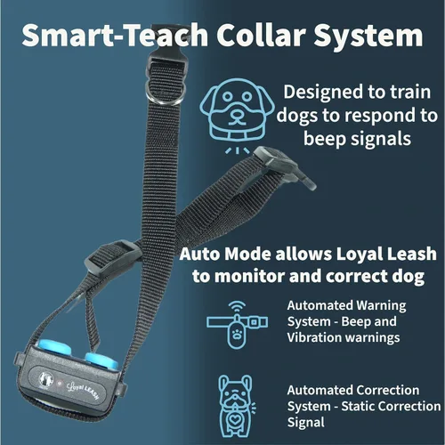 Miniatura 4 de Correa electrónica segura para entrenamiento de perros con modo automático, control remoto ergonómico, sensibilidad ajustable, collar sin tirones