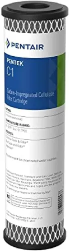Pentair Pentek C1 Filtro de agua de carbón, 10 pulgadas, cartucho de repuesto impregnado de carbono activado en polvo de celulosa de doble propósito