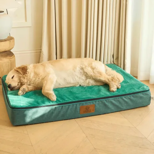 Miniatura 16 de LIORCE Cama grande para perros de espuma viscoelástica, camas ortopédicas de 4 pulgadas de grosor para perros grandes, cama impermeable para perros