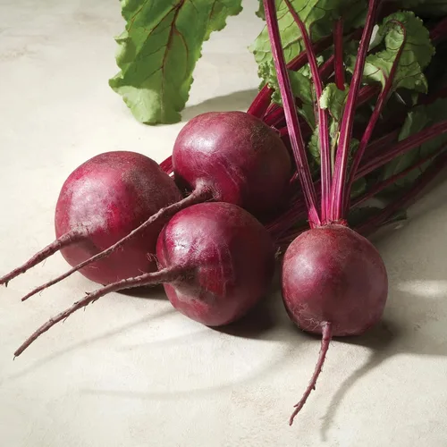 Miniatura 2 de Plant Good Seed Organic Merlin F1 - Semillas de remolacha roja, paquete de 125, semillas tradicionales para plantar verduras, suministros
