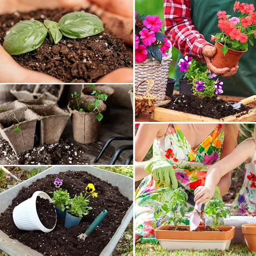 Miniatura 7 de Halatool Tierra para macetas de interior de 3 cuartos de galón para plantas, mezcla para macetas de orquídeas, tierra de jardín superior