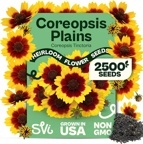 Miniatura 14 de Queen Anne 's Lace- 200 semillas – 50% de descuento venta