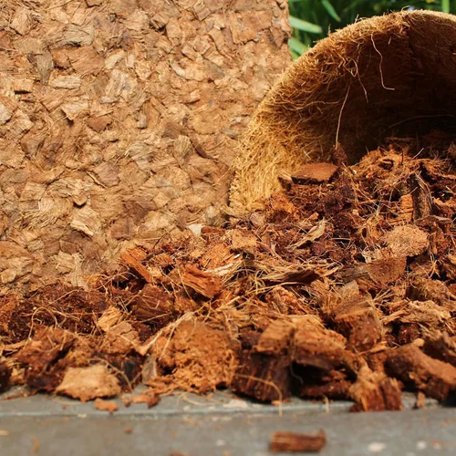 Miniatura 8 de Astillas de coco orgánico para plantas (4.5 kg) - Astillas de fibra de coco - Astillas de cáscara de coco para tierra de macetas, tierra de jardín
