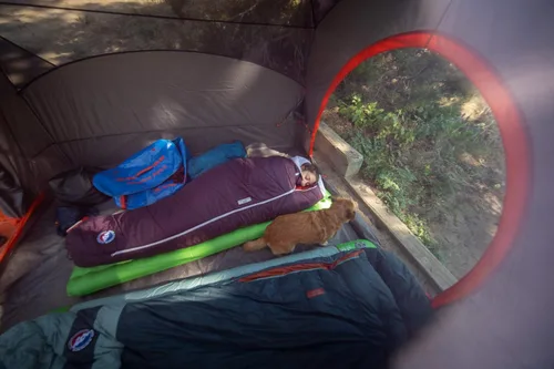 Miniatura 5 de Big Agnes Saco de dormir para mujer Sidewinder Camp FireLine Eco Fill
