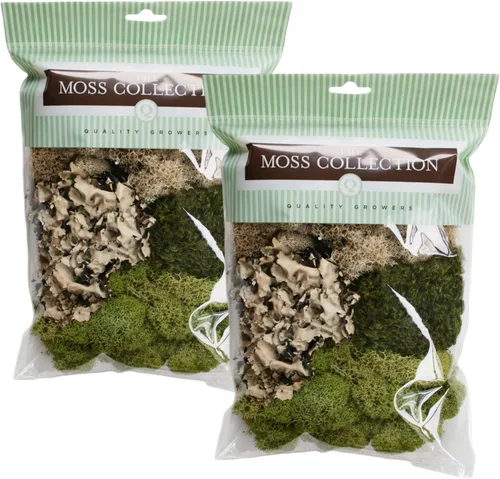 Miniatura 10 de Quality Growers - Paquete variado de la colección Moss - Musgo decorativo natural - Manualidades, decoración del hogar, proyectos de arte, diseño