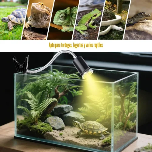 Miniatura 7 de Luz de Calentamiento para Tortugas (Temporizador de Ciclo), Lámpara para Tortugas UVA UVB Bombillas de Calor - Paquete de 2 de 50W, Bombilla de Luz