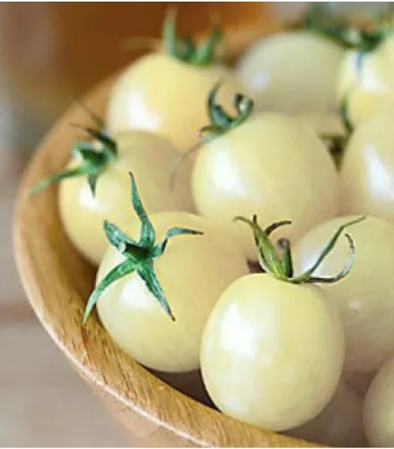 Miniatura 2 de Semillas Italiano Hielo Cherry Tomate Blanco Indeterminado No GMO