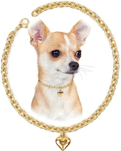 Miniatura 12 de HOWWFALY Collar para Perro y Cadena Collar para Gato de Acero Inoxidable Ajustable Collar en Forma de Corazón de Oro 18K para Mascotas Pequeñas