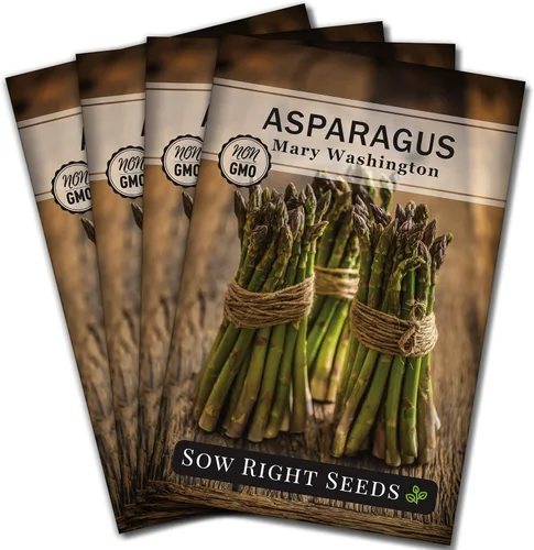 Miniatura 10 de Sow Right Seeds - Semilla de espárragos Mary Washington para plantar - Paquete de reliquia sin OMG con instrucciones para plantar un huerto