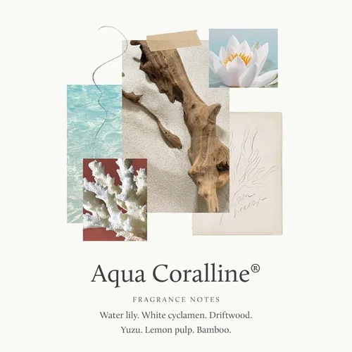 Miniatura 2 de Thymes Crema de manos - 3 Fl Oz - Aqua Coralline