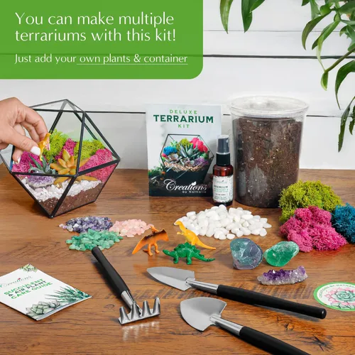 Miniatura 4 de Creations by Nathalie – Kit de bricolaje grande para terrario de inicio con tierra, musgo, piedras, cristal de curación, herramientas y suministros