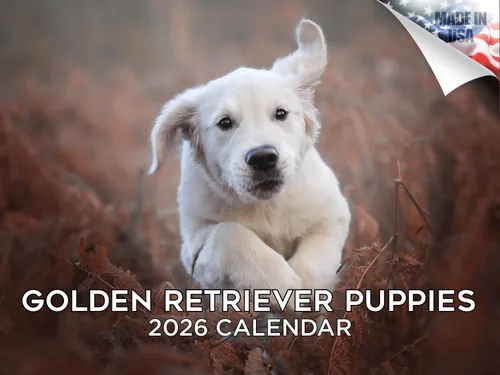 Miniatura 38 de Calendario 2025 2026 de cachorros Cocker Spaniel - Calendario mensual de pared de raza de perro - 12" x 24" abierto - Papel grueso sin sangrado