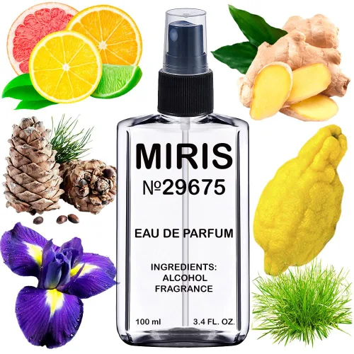 MIRIS nro. 29675, inspirado en Di Homme Sport 2012, Eau de Parfum de larga duración para hombre, spray 3.4 fl oz (100 ml)