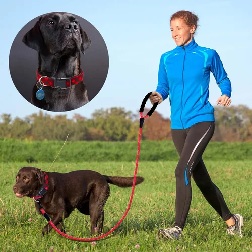 Miniatura 5 de Ladoogo Collar reflectante para perro acolchado con neopreno suave, collares de nailon transpirables y ajustables para perros pequeños, medianos
