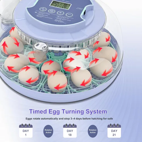 Miniatura 3 de Incubadora de 18 huevos para incubar pollos, girador automático de huevos con capacidad para 18 huevos, incubadora inteligente con ventana