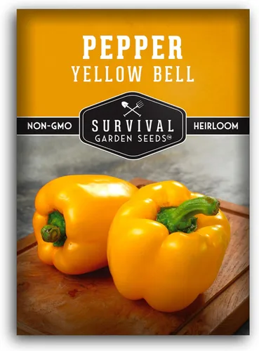 Semillas de pimiento amarillo para plantar, pimientos dorados tradicionales para huertos domésticos, sin OMG, polinizado abierto, semillas de jardín