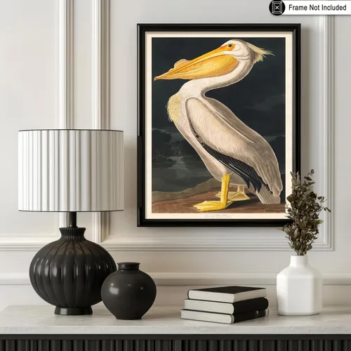 Miniatura 3 de Poster Master Póster vintage de James Audubon - Impresión retro de pelícano blanco - Arte de pájaros de América - Arte de pájaros - Regalo