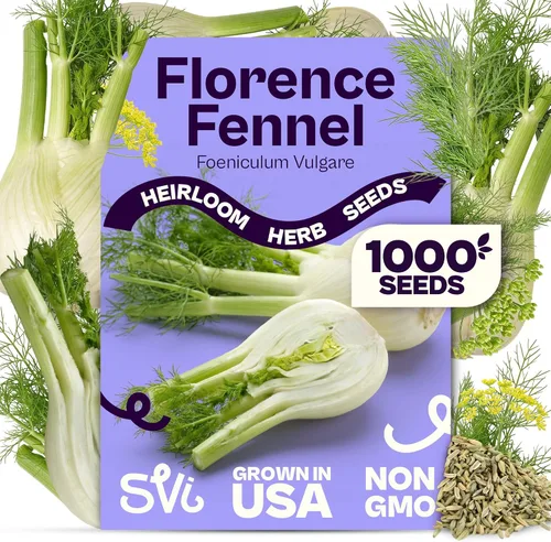 Miniatura 10 de SVI 2000 semillas de albahaca genovesa (Ocimum basilicum) - Paquetes de semillas de albahaca dulce - Semillas aromáticas de hierbas culinarias