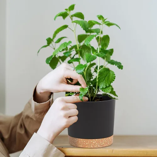 Miniatura 5 de QCQHDU Maceta de 5 pulgadas, paquete de 2 macetas para plantas de interior con agujeros de drenaje y platillo, macetas para exteriores, decoración