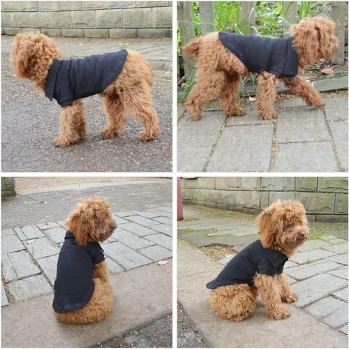 Miniatura 5 de lovelonglong Polo básico para perro, de algodón de primera calidad, para perros grandes, medianos y pequeños, con cuello de dos botones, color Negro