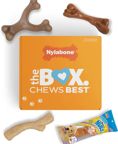 Nylabone Caja de Regalo para Cachorros, Incluye 3 Fuertes Juguetes para Masticación de Cachorros y 1 Hueso de Golosina Natural para Cachorros,