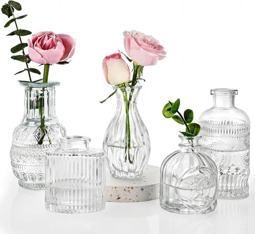 Fixwal Juego de 5 jarrones pequeños, florero pequeño para flores, jarrón de vidrio para decoración del hogar, decoraciones de boda, jarrones de