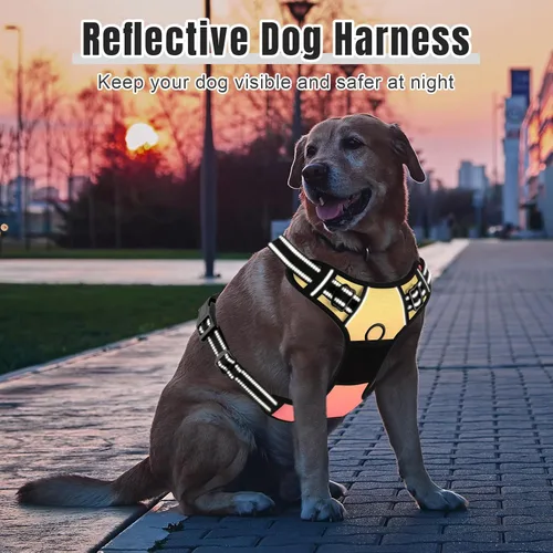 Miniatura 6 de Rnivvi - Arnés para perro sin tirones, lindo arnés reflectante de gran tamaño para cachorros, chaleco acolchado ajustable para perros grandes, Arte