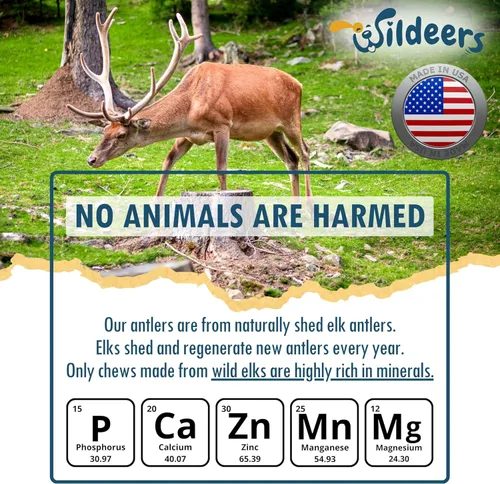 Miniatura 8 de Wildeers Cuernos divididos para perros medianos, paquete de 2, fabricados en Estados Unidos, cuernos de alce de grado A, huesos masticables